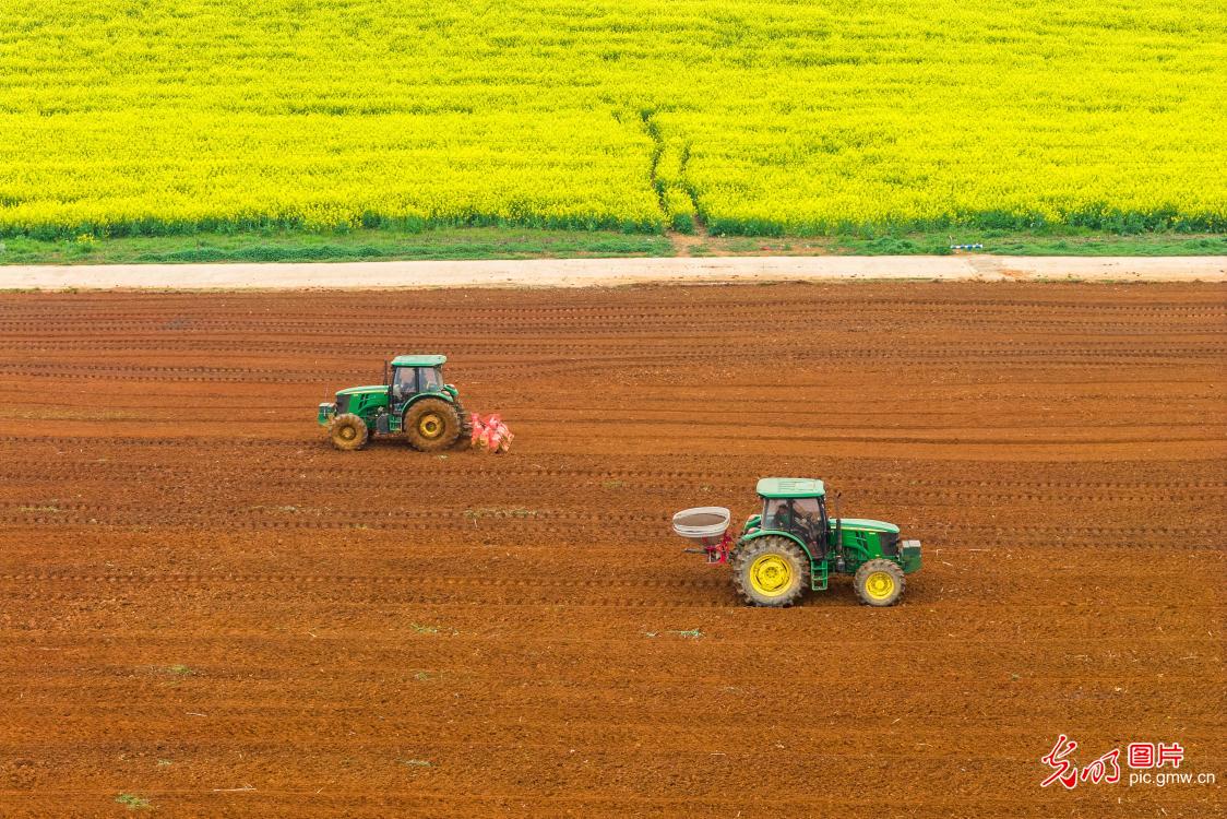 Spring farming in full swing&nbsp;across China