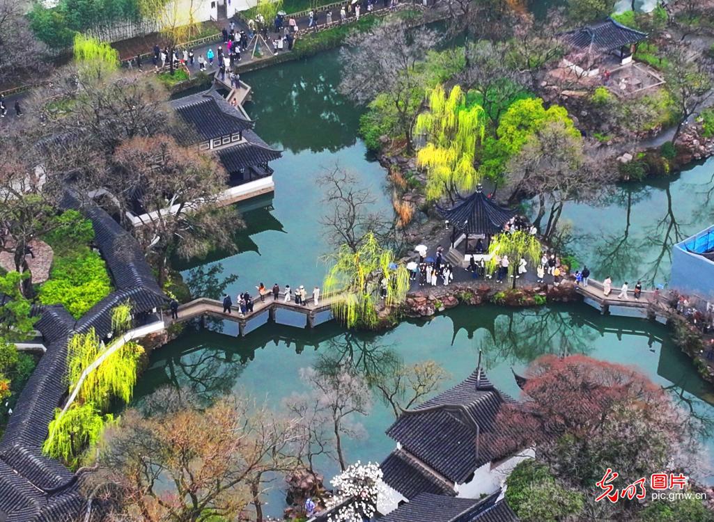 Spring rain brings poetic charm to Humble Administrator's Garden in E China's Jiangsu