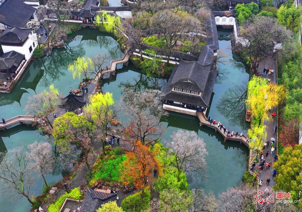 Spring rain brings poetic charm to Humble Administrator's Garden in E China's Jiangsu