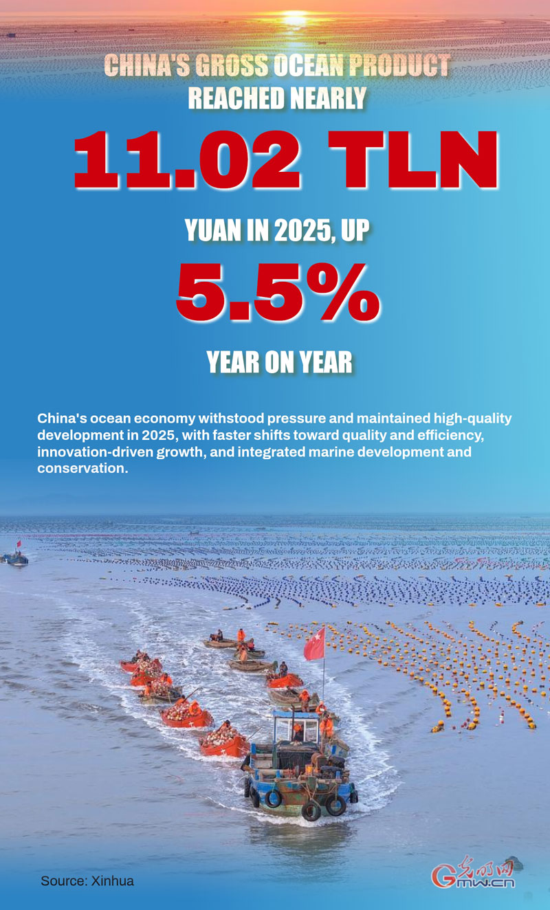 Poster: China's ocean economy posts steady growth in 2025