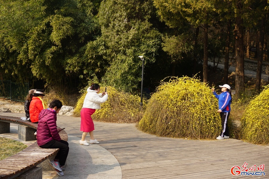 Spring blossoms attract visitors to Taoranting Park in Beijing