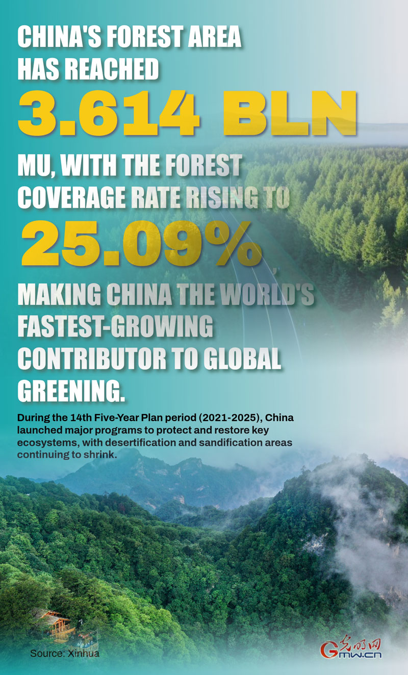 Poster: China sees sustained progress in land greening