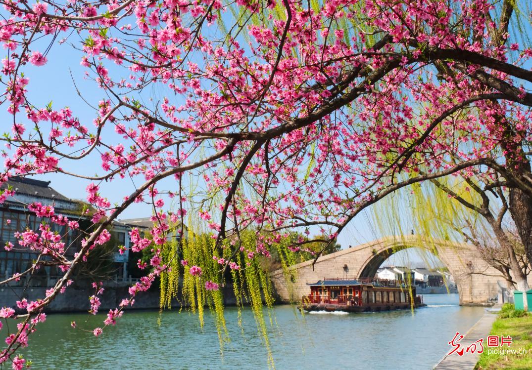 Spring colors grace ancient canal in E China's Jiangsu