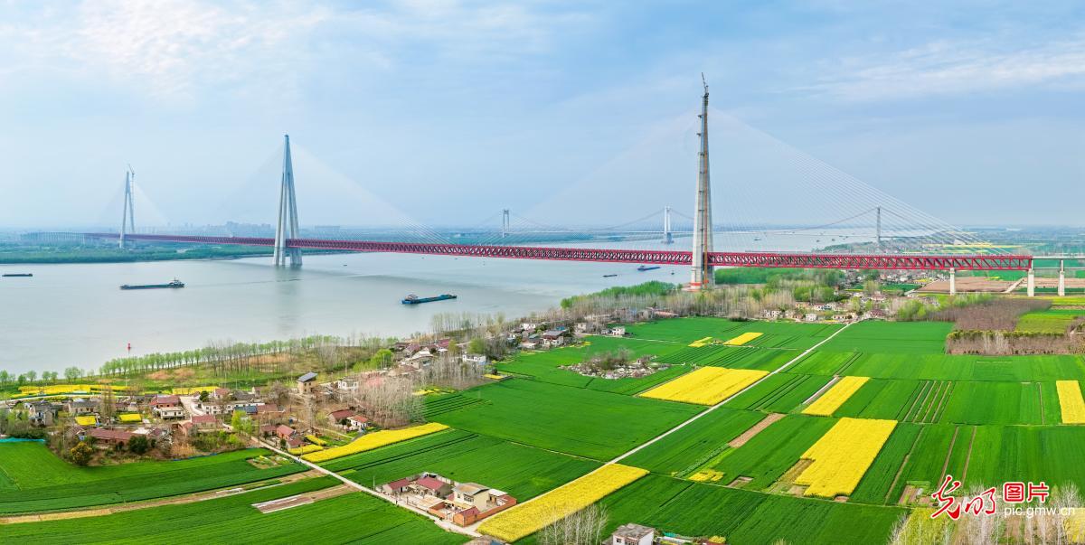 Spring scene along Yangtze River