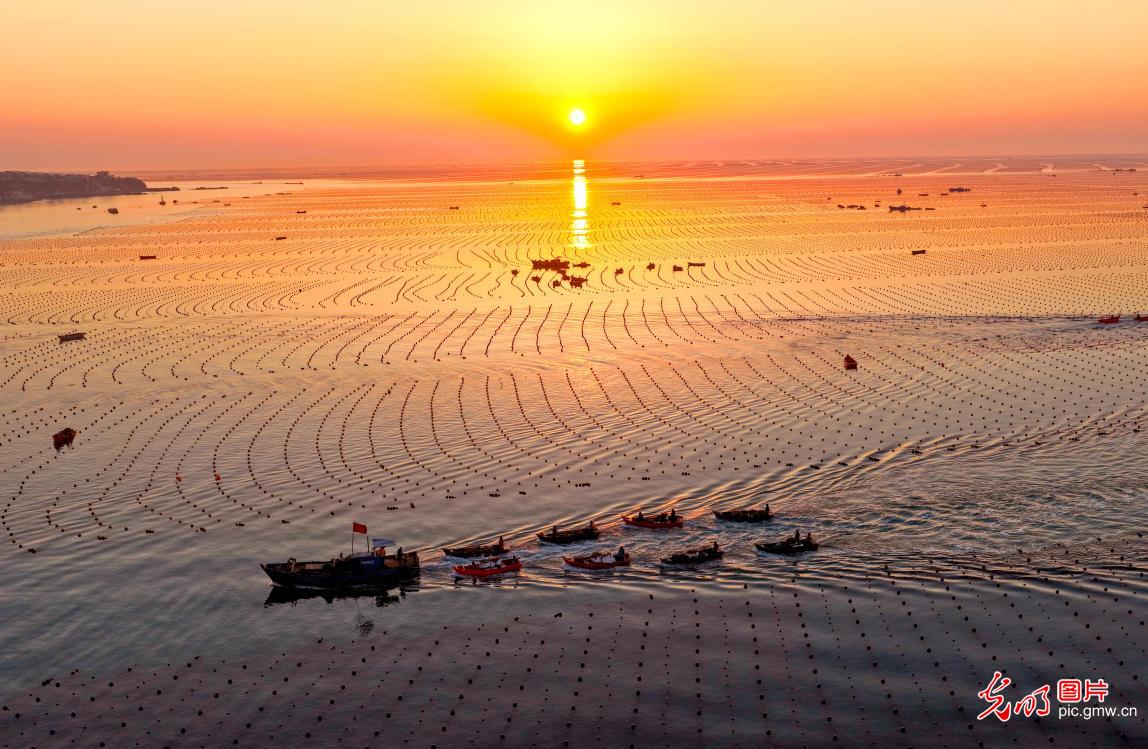 Spring farming in costal China