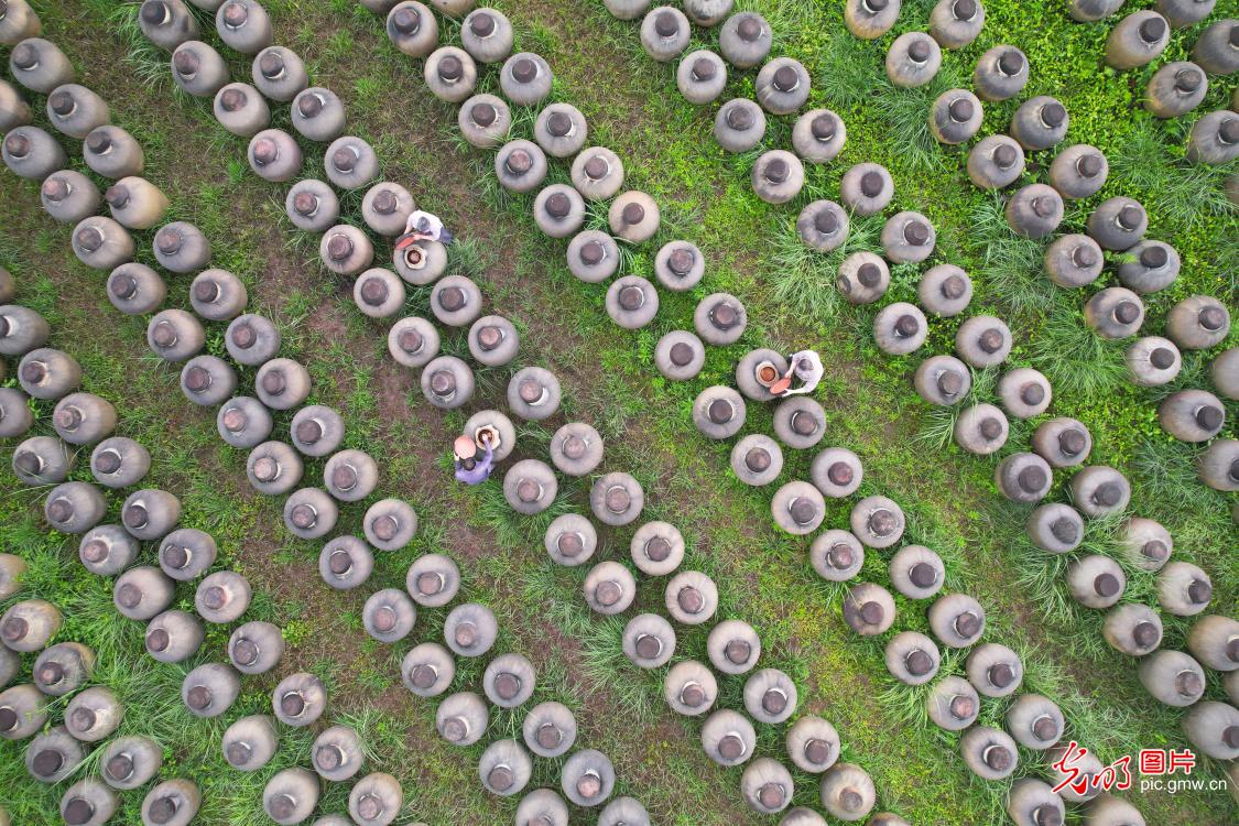 Traditional vinegar-making revitalized in SW China's Guizhou