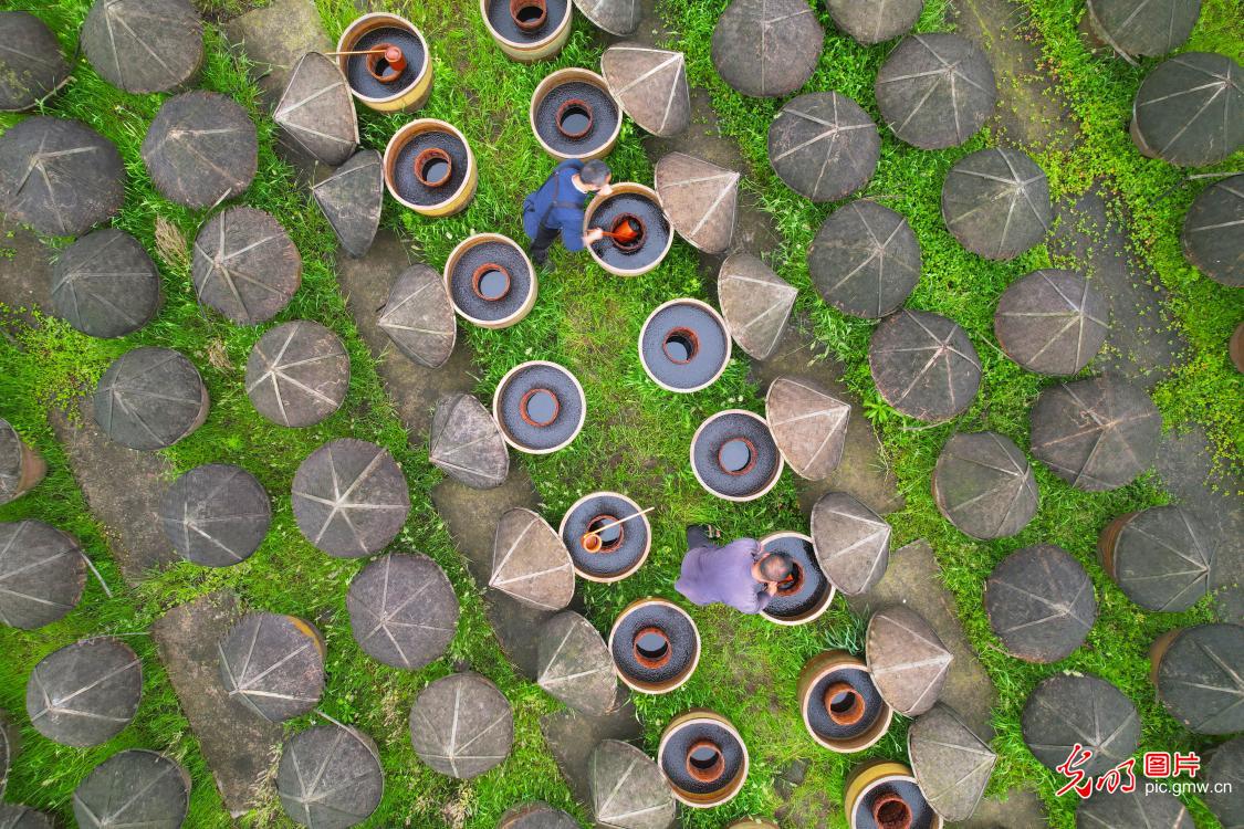 Traditional vinegar-making revitalized in SW China's Guizhou