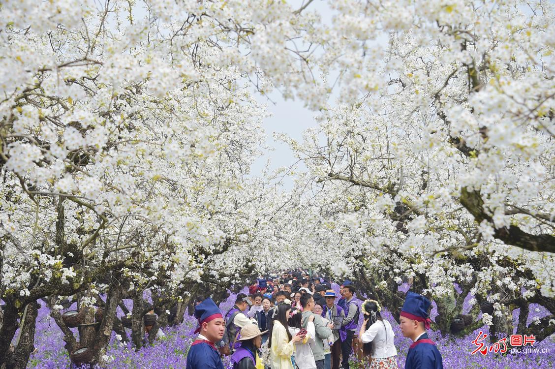 Spring blossoms light up mountain in E China's Jiangsu