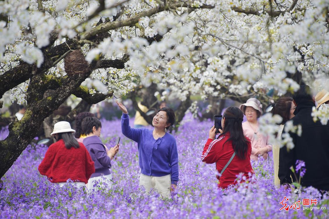 Spring blossoms light up mountain in E China's Jiangsu