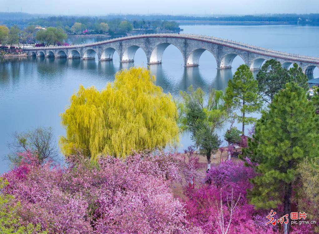 Spring blooms paint wetland park in E China's Jiangsu