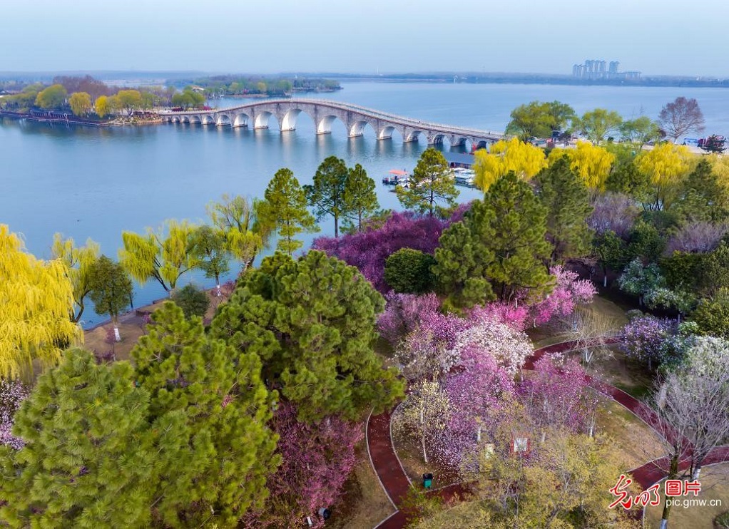 Spring blooms paint wetland park in E China's Jiangsu