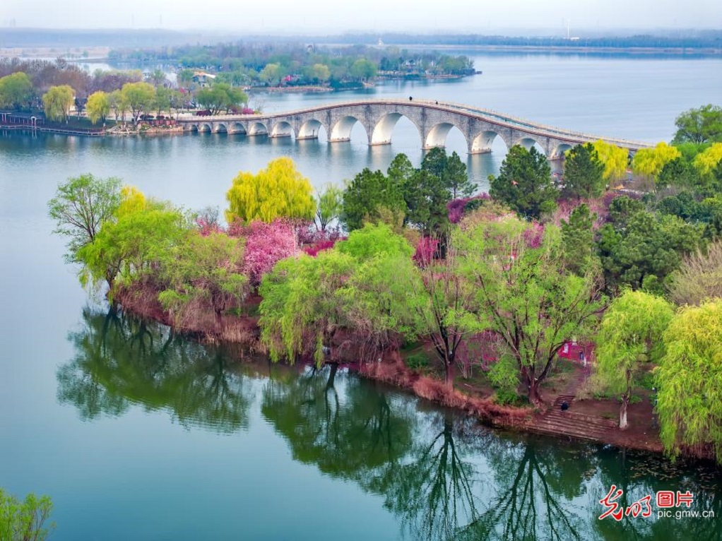 Spring blooms paint wetland park in E China's Jiangsu