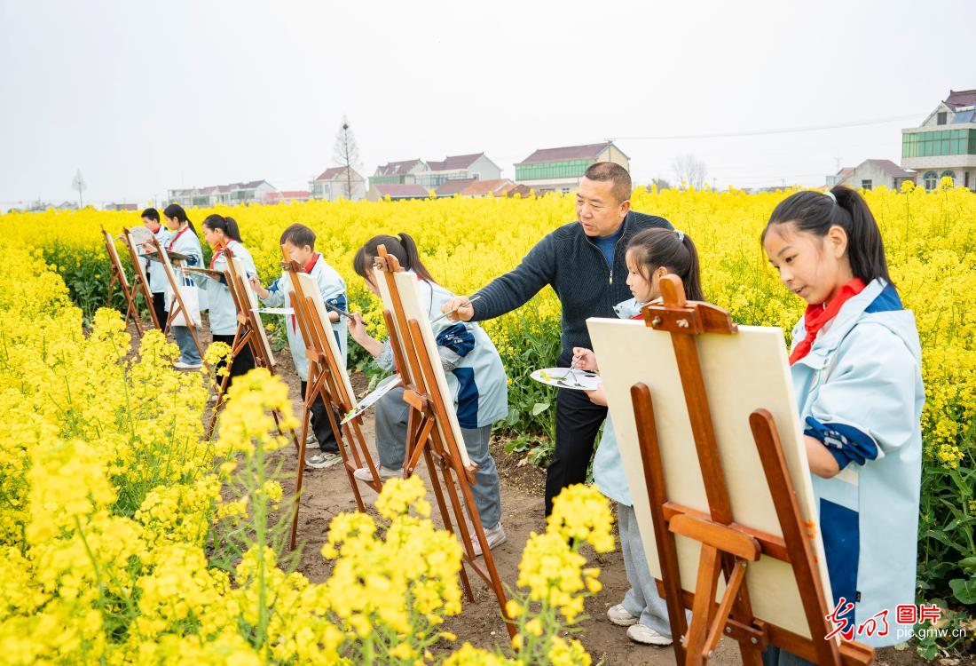 Students paint spring in blooming rapeseed fields