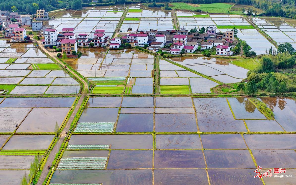 Idyllic rural spring scenery in E China's Jiangxi Idyllic rural spring scenery in E China's Jiangxi