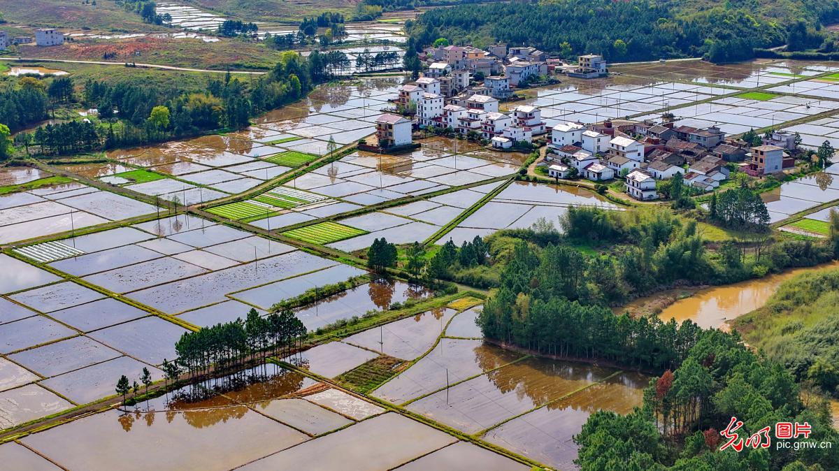 Idyllic rural spring scenery in E China's Jiangxi Idyllic rural spring scenery in E China's Jiangxi