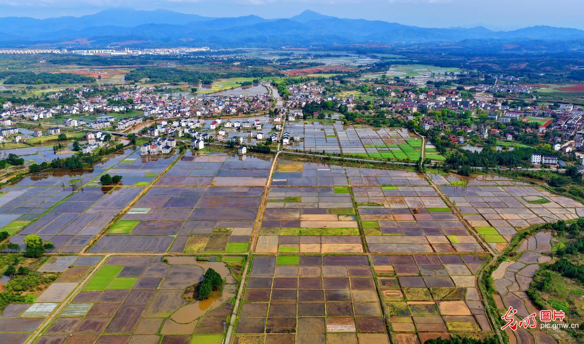 Idyllic rural spring scenery in E China's Jiangxi Idyllic rural spring scenery in E China's Jiangxi
