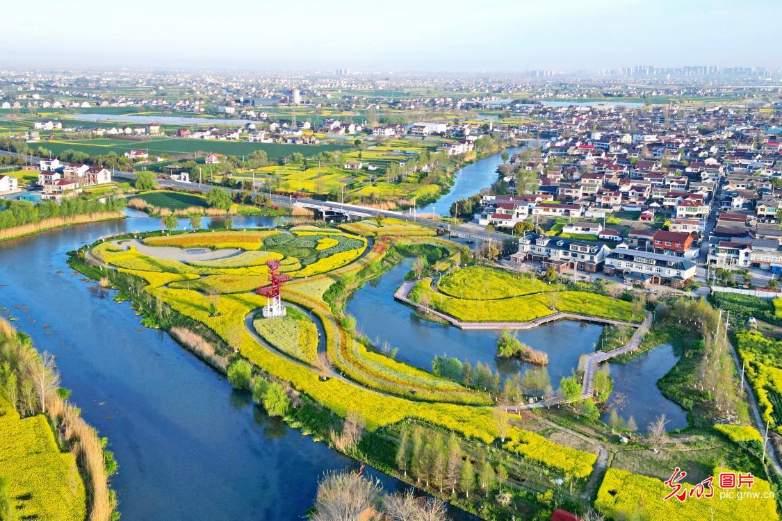 Spring colors light up park in Jiangsu's Dongtai