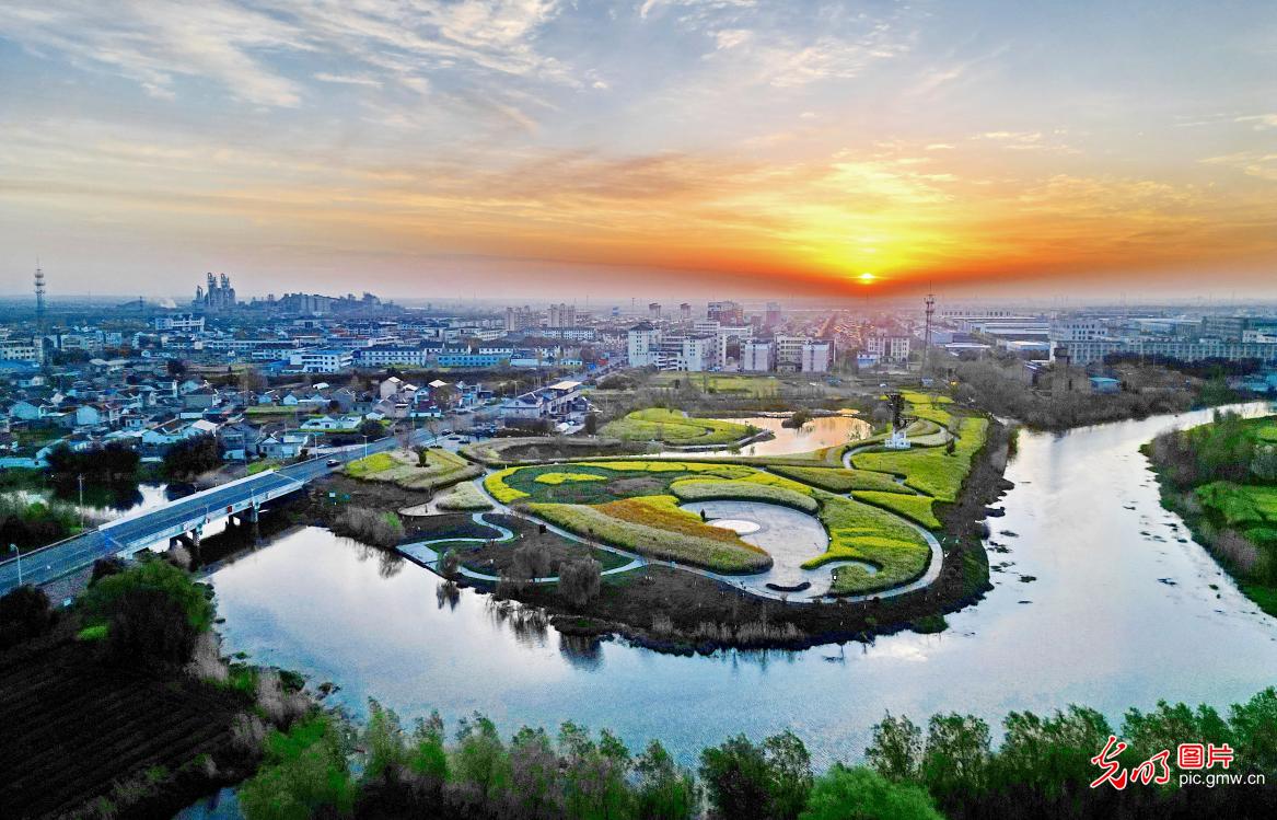 Spring colors light up park in Jiangsu's Dongtai