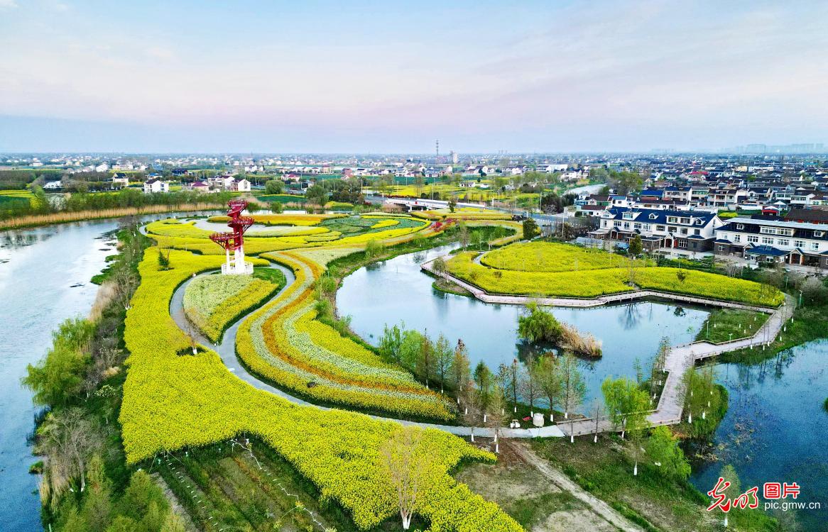Spring colors light up park in Jiangsu's Dongtai