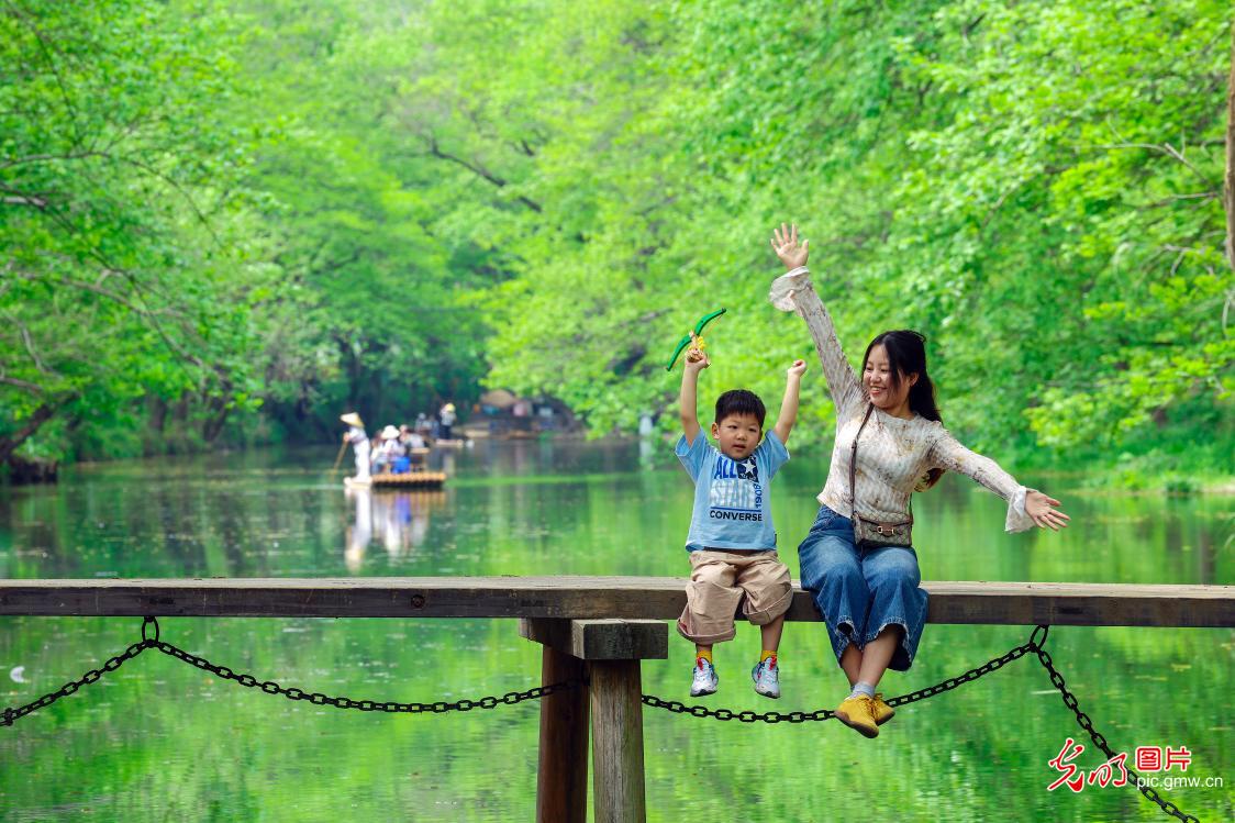 Fresh green unfolds at Xixinan Wetland in spring