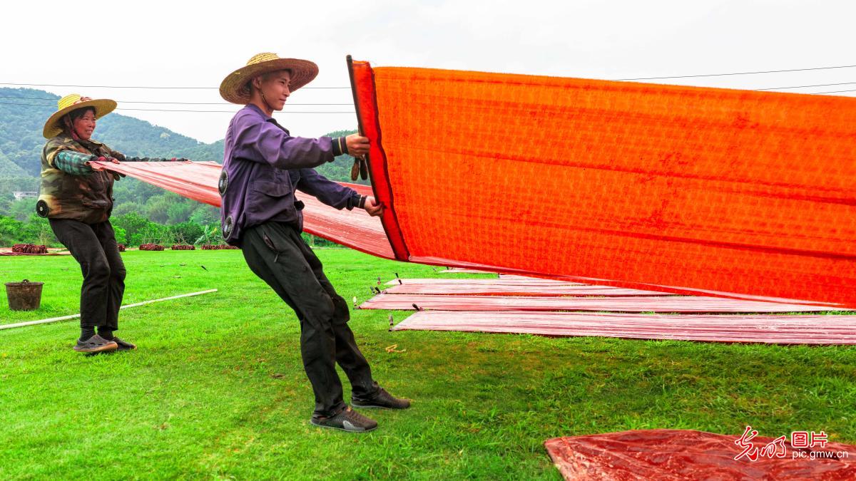 Traditional silk craft thrives in S China's Guangxi Traditional silk craft thrives in S China's Guangxi
