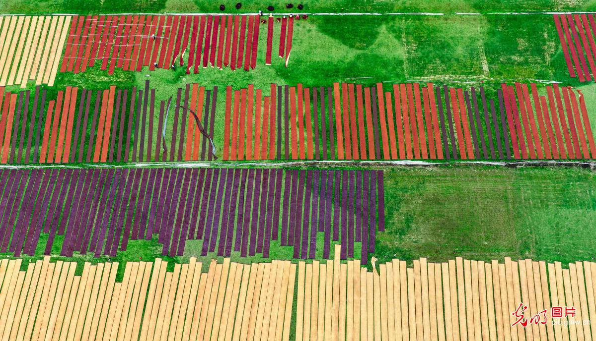 Traditional silk craft thrives in S China's Guangxi Traditional silk craft thrives in S China's Guangxi