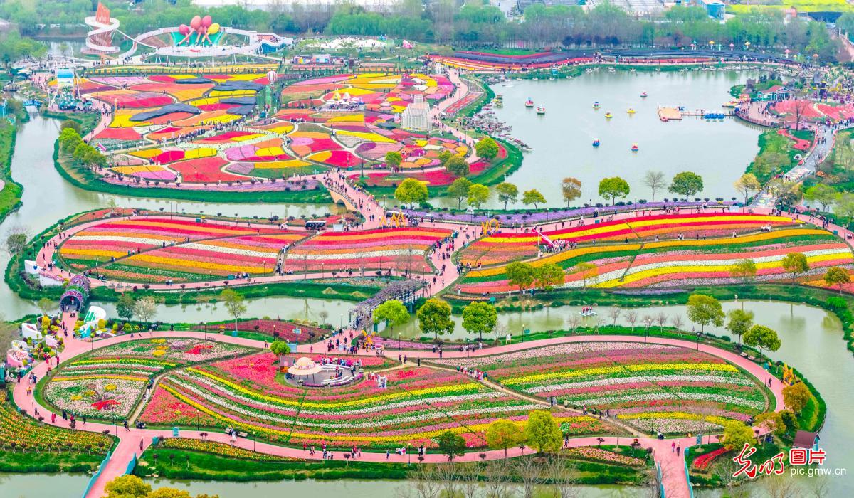 Tulip blooms attract visitors in E China's Jiangsu Tulip blooms attract visitors in E China's Jiangsu