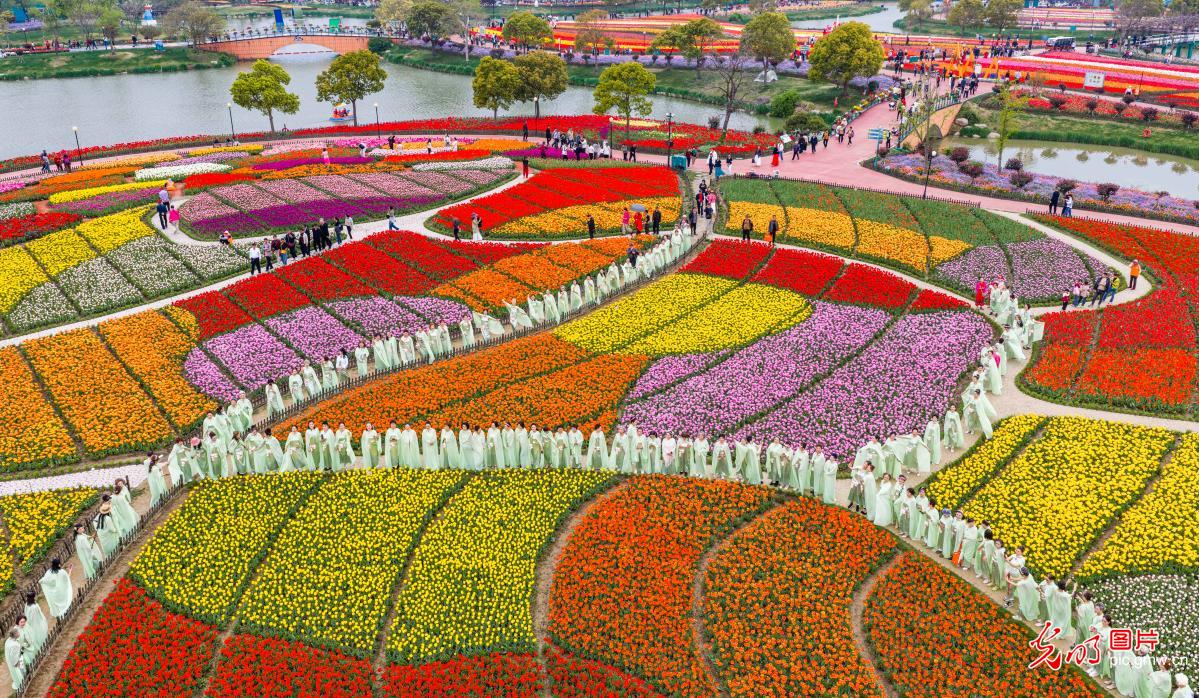 Tulip blooms attract visitors in E China's Jiangsu Tulip blooms attract visitors in E China's Jiangsu