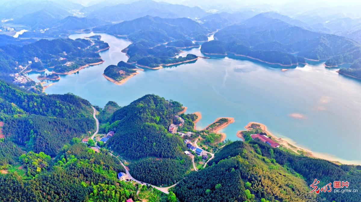 Spring scenery unfolds at wetland park in central China's Hunan Spring scenery unfolds at wetland park in central China's Hunan