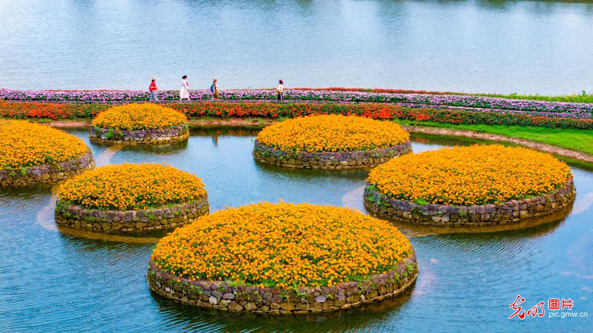 Spring blossoms create a picturesque landscape