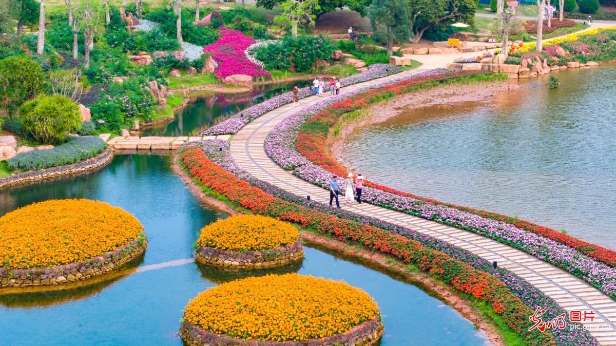 Spring blossoms create a picturesque landscape