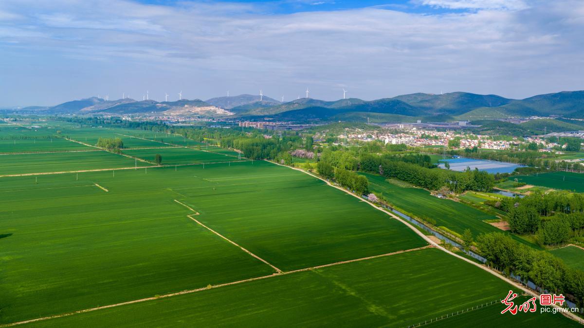Aerial view of scenic rural landscape in Anhui