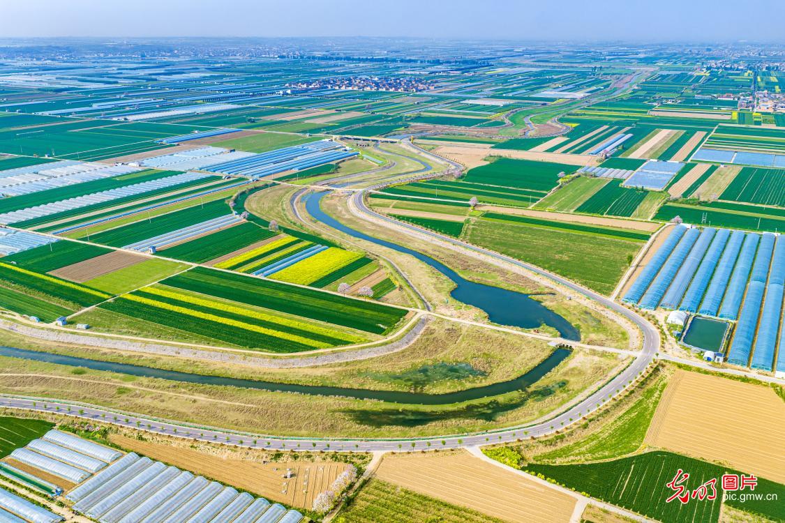 Spring scenery along Yellow River tourism highway in N China's Shanxi Spring scenery along Yellow River tourism highway in N China's Shanxi