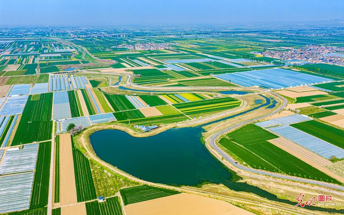 Spring scenery along Yellow River tourism highway in N China's Shanxi Spring scenery along Yellow River tourism highway in N China's Shanxi