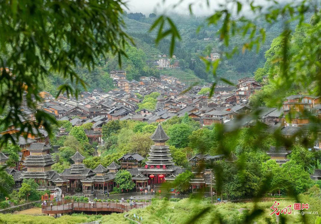 Traditional Dong Village booms with lush spring landscape