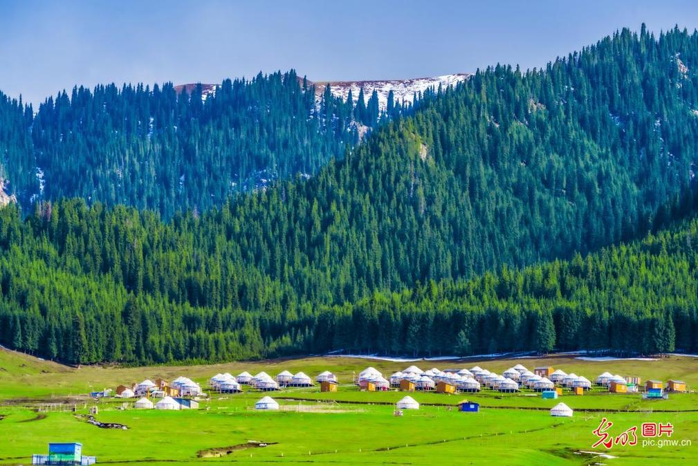 Picturesque scene at NW China's Wulasitai Grassland