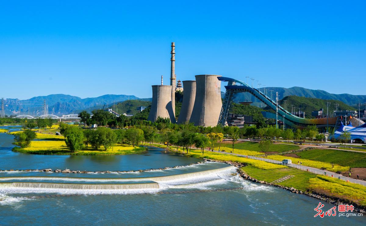 Rapeseed flowers bloom along Yongding River in Beijing
