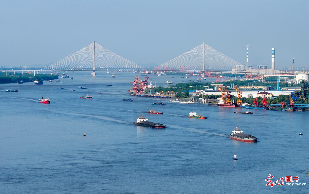 Cargo ships busy on Yangtze River in E China's Anhui