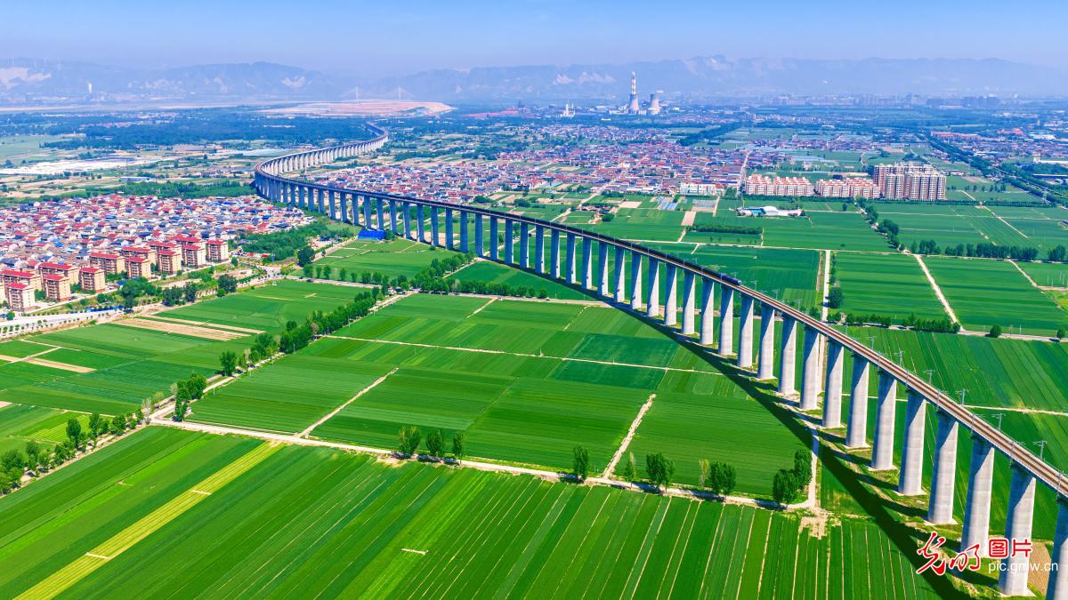 Train runs through early summer fields in N China's Shanxi