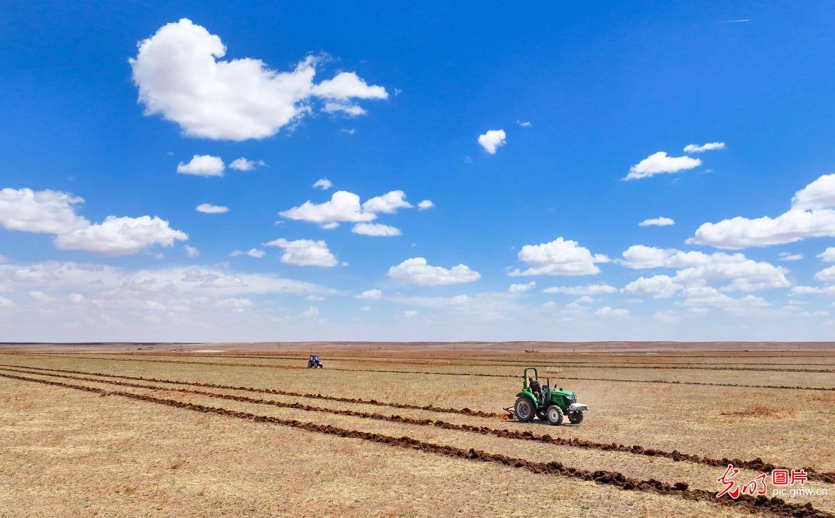 Desertification control carried out in N China