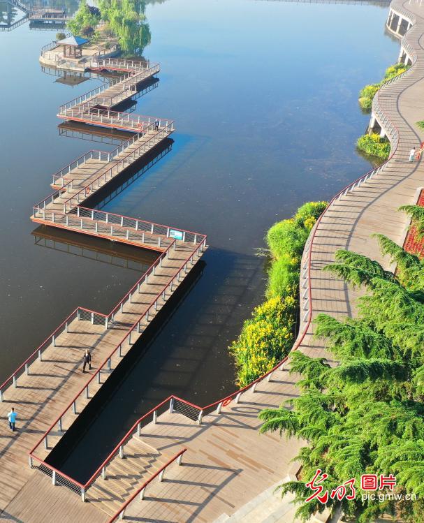 Ecological improvement along Moshui River in E China's Shandong