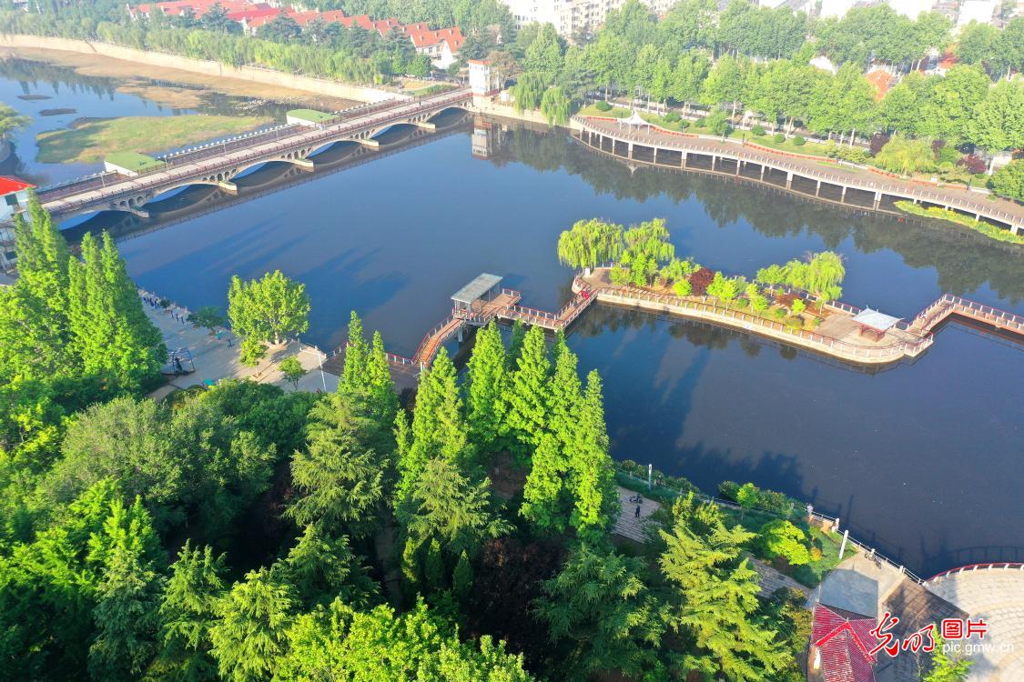 Ecological improvement along Moshui River in E China's Shandong