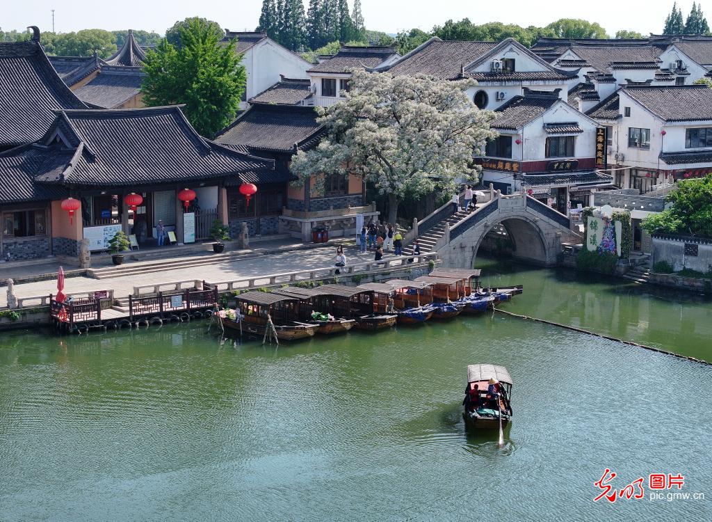 Early summer scenery draws visitors in E China's Jiangsu