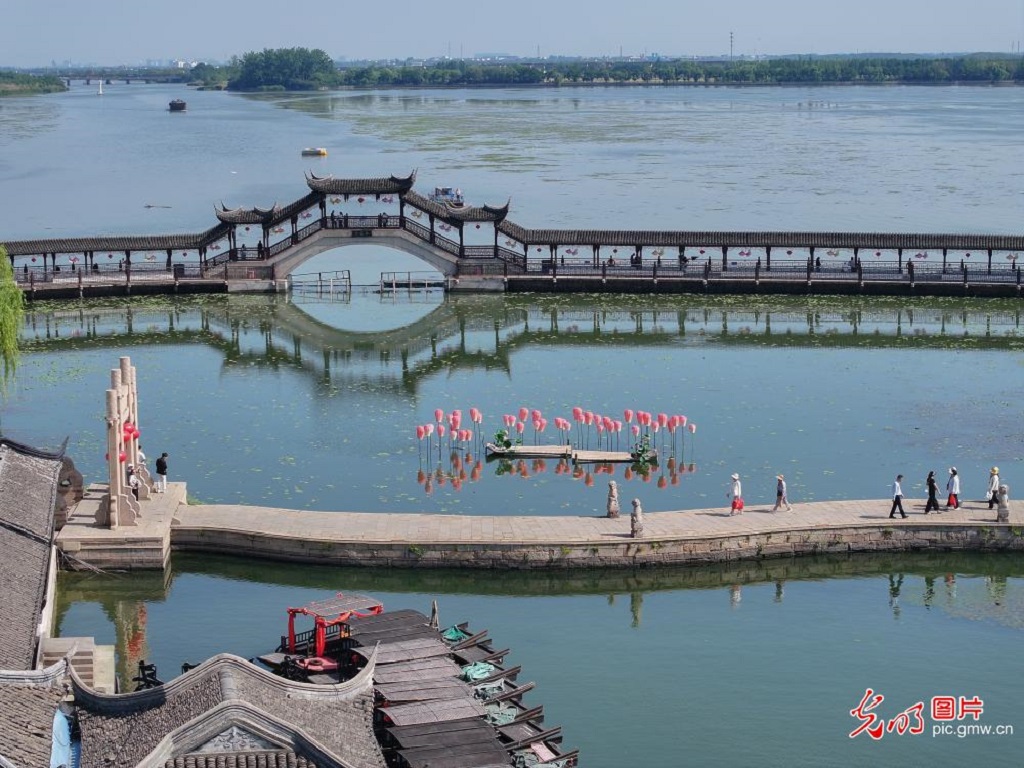 Early summer scenery draws visitors in E China's Jiangsu