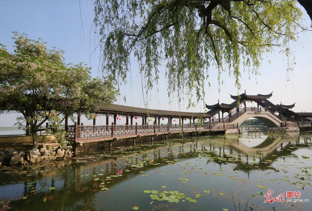 Early summer scenery draws visitors in E China's Jiangsu