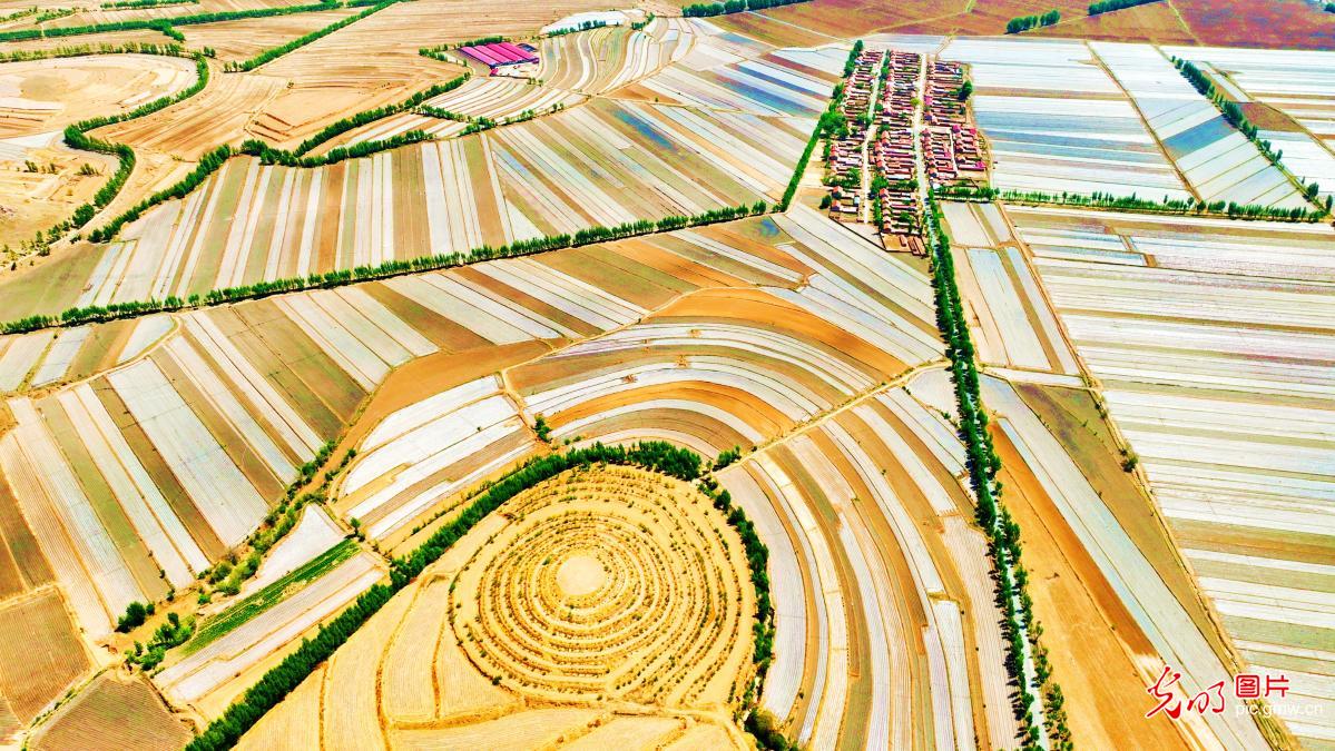 Spring-sown fields form scenic patterns in N China's Inner Mongolia