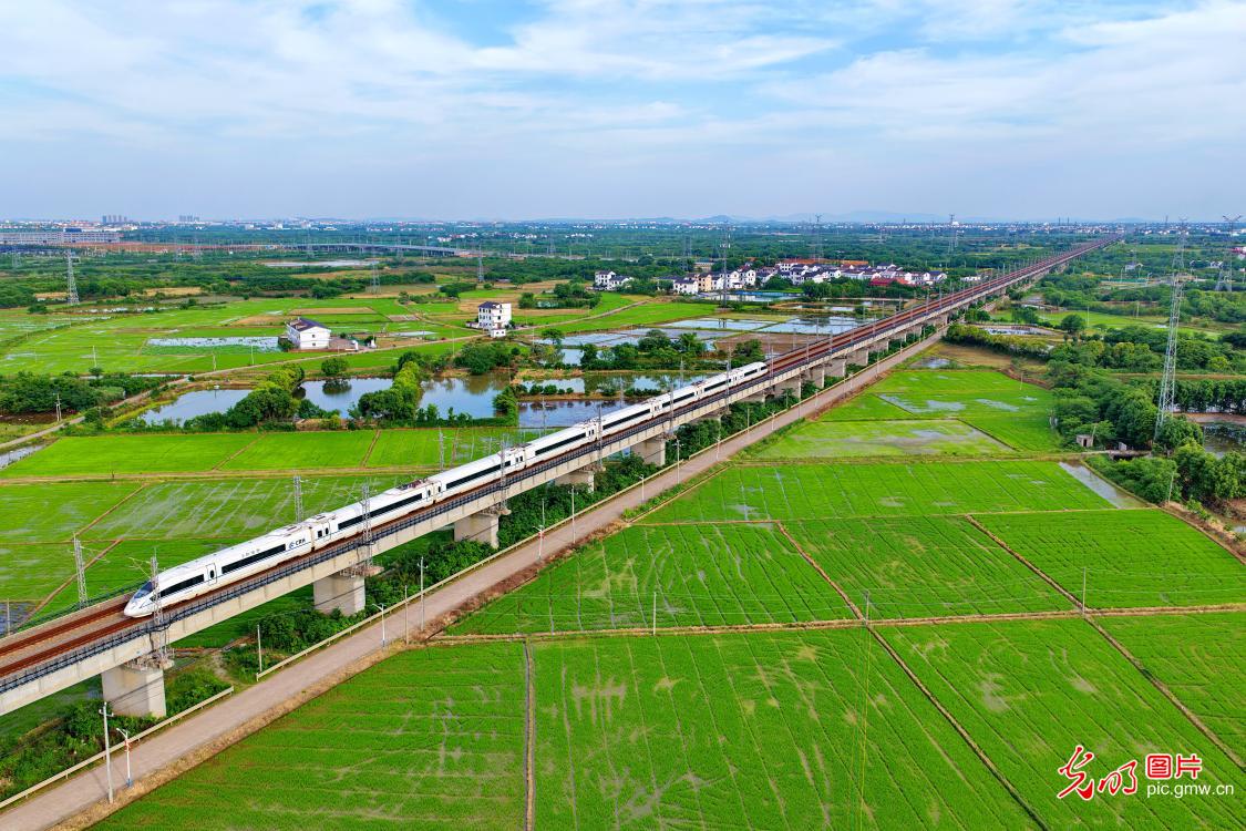 Rural landscape unfolds in early summer in E China's Jiangxi