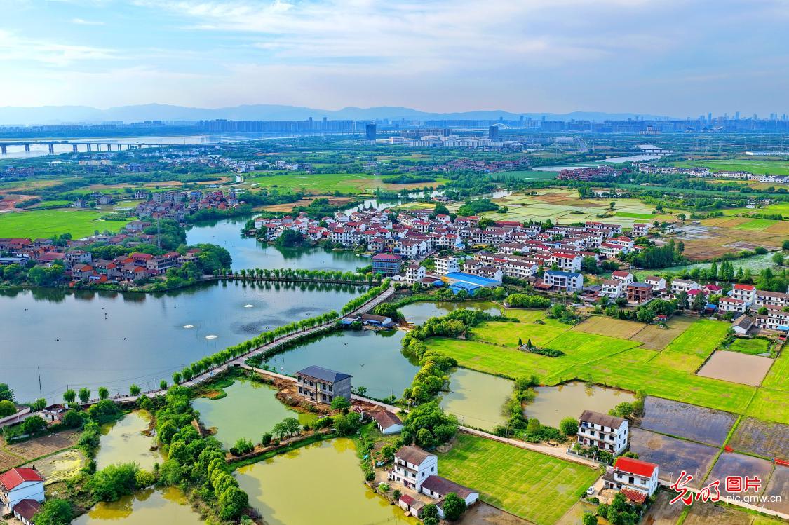 Rural landscape unfolds in early summer in E China's Jiangxi