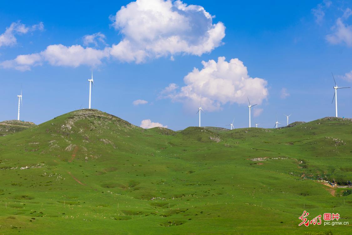 Bright sunshine bathes picturesque grassland Bright sunshine bathes picturesque grassland