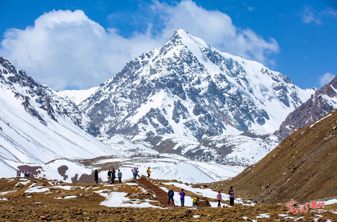 Early summer scenery of Bars Snow Mountain draws visitors in NW China's Gansu Early summer scenery of Bars Snow Mountain draws visitors in NW China's Gansu